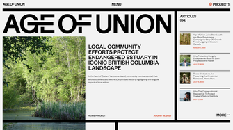 Age of Union Non profit web design example
