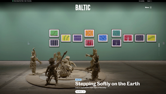 Baltic web design example