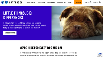 Battersea dogs and cats home website example (1)