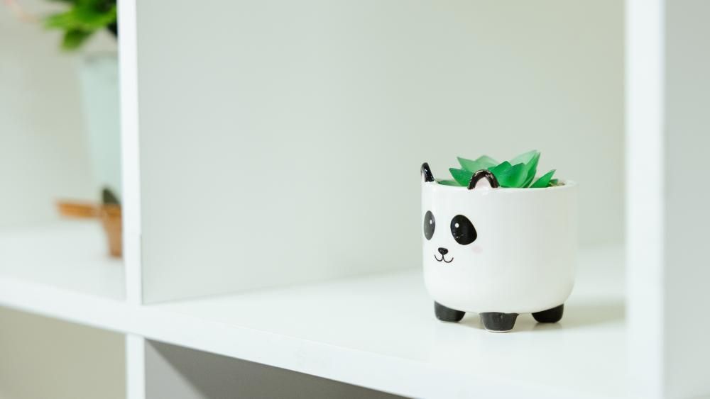 a panda plantpot