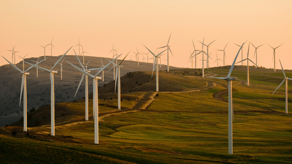 Field of wind turbines
